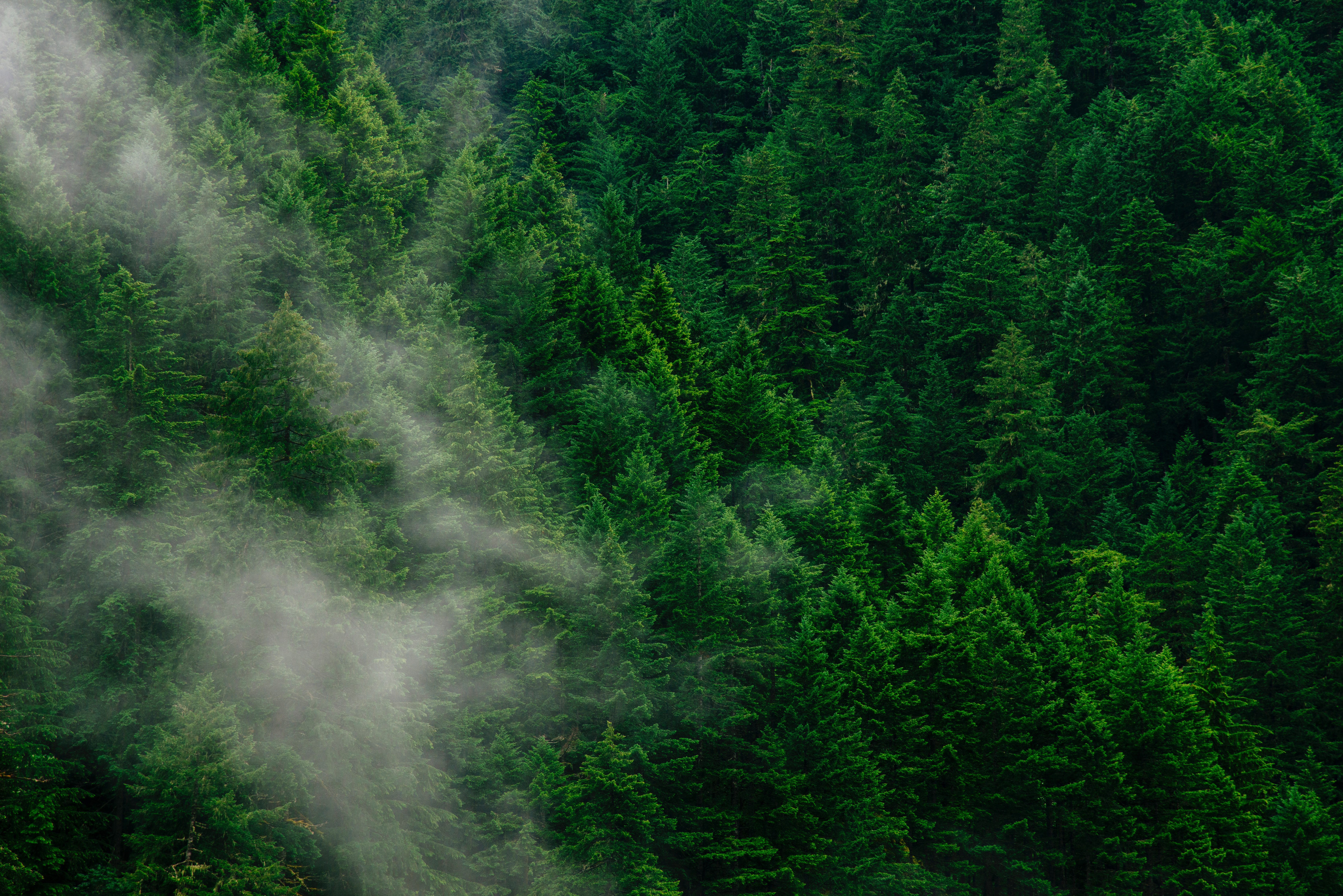 https://www.la-francaise.com/fileadmin/user_upload/andrew-coelho-aL7SA1ASVdQ-unsplash__1_.jpg