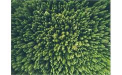 https://www.la-francaise.com/fileadmin/images/Actualites/2022/john-o-nolan-uMWPrcRsrto-unsplash.jpg